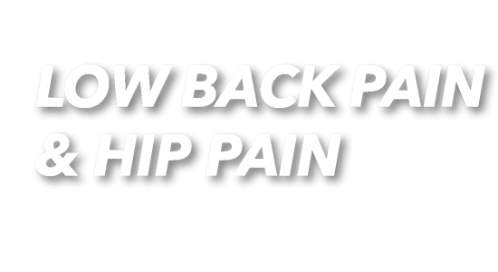 Bib_Low Back Pain and Hip Pain_Text Bib_Low Back Pain and Hip Pain_Text