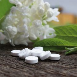 schuler-2913780_1920 schuler-2913780_1920